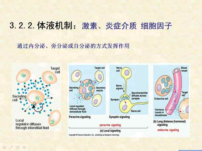 病理生理学视频教程